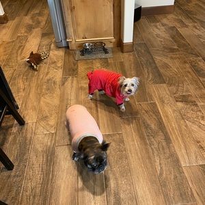 Meet your Posher, Addy